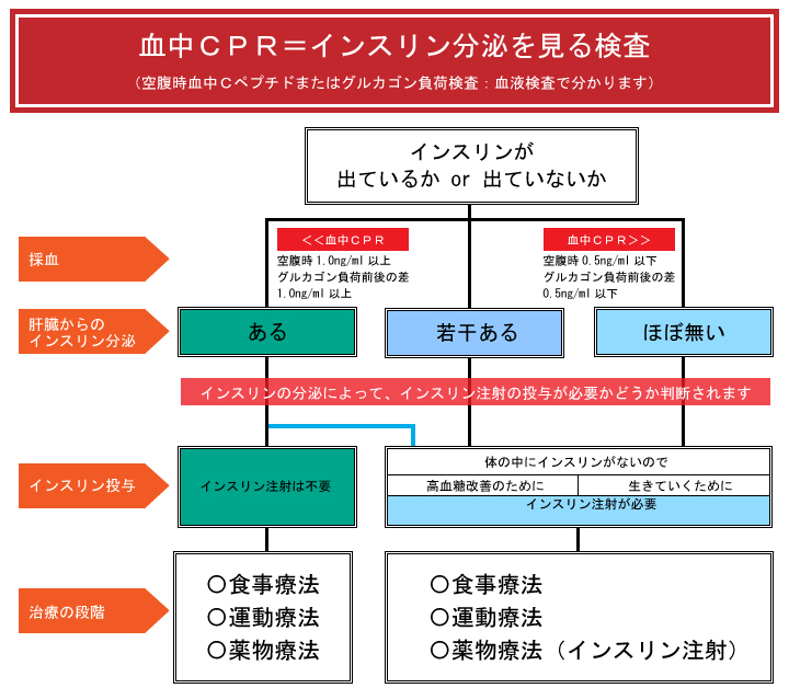血中CPR=インスリン分泌を見る検査